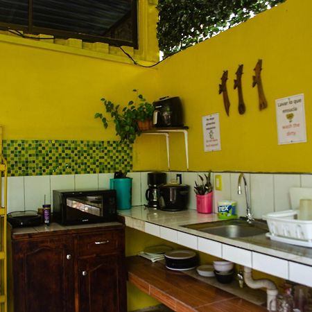 The Jungle Container Bed & Breakfast Quepos Luaran gambar