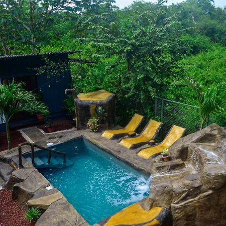 The Jungle Container Bed & Breakfast Quepos Luaran gambar